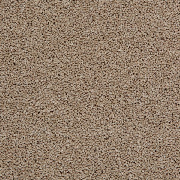 Light Beech