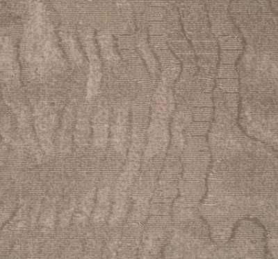 Silt Moire