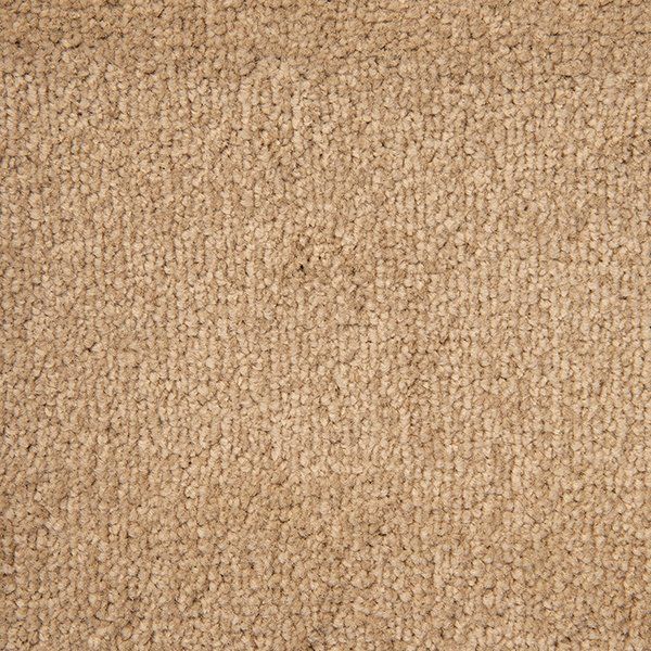 Cool Beige