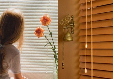 blinds