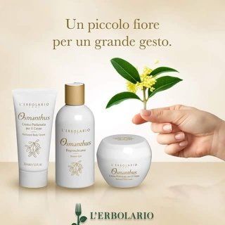 Linea