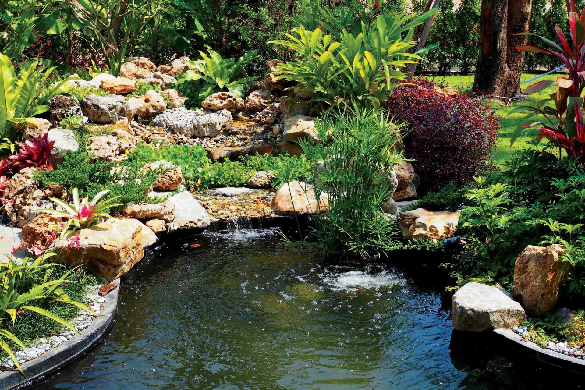 Fish Pond