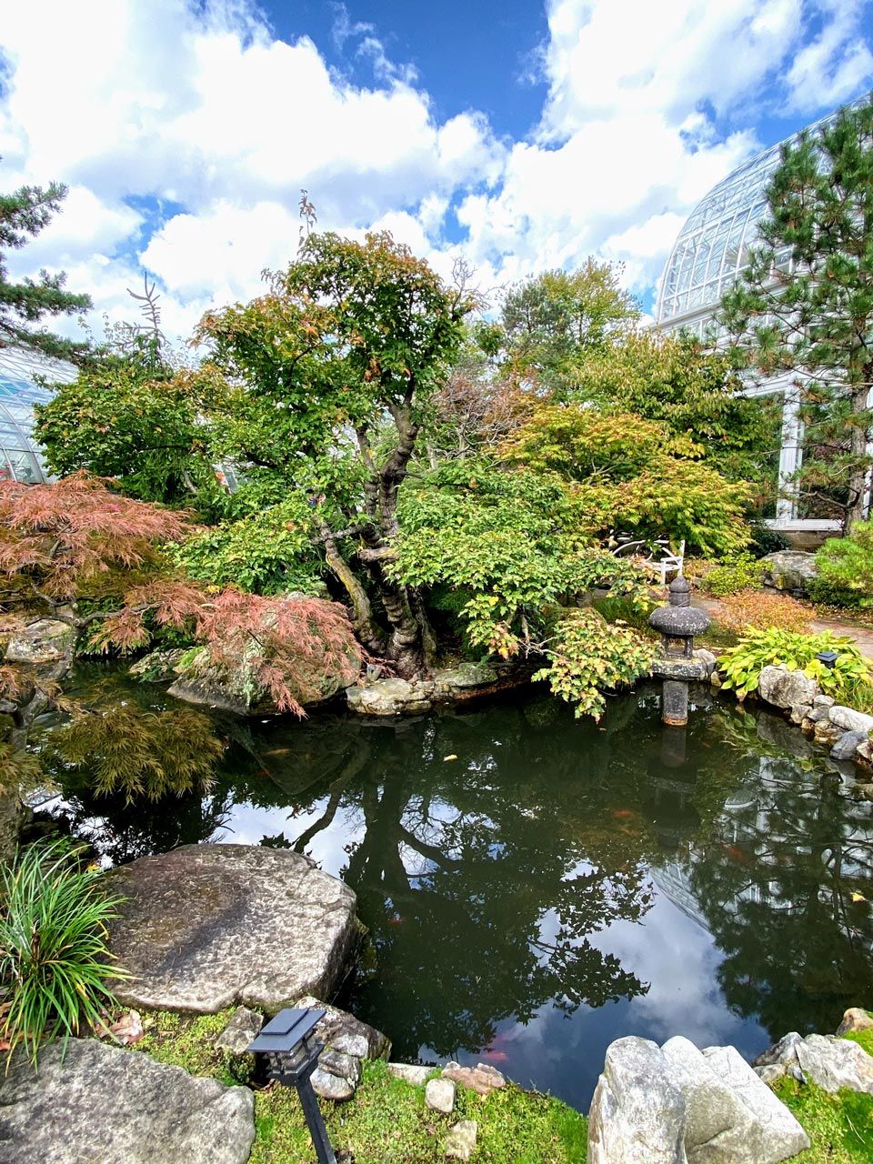 Small Pond