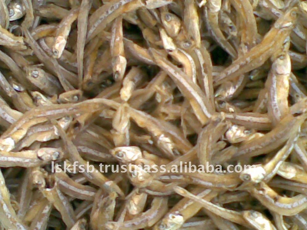 Dried anchovies, small silver fish, tightly packed.