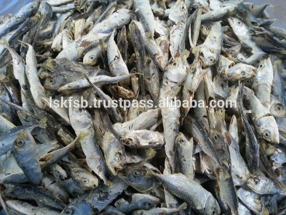 Pile of dried fish; mostly silver with some blue hues, scattered close-up.