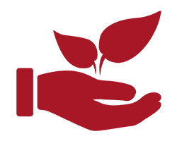 Ecologia e gas di scarico