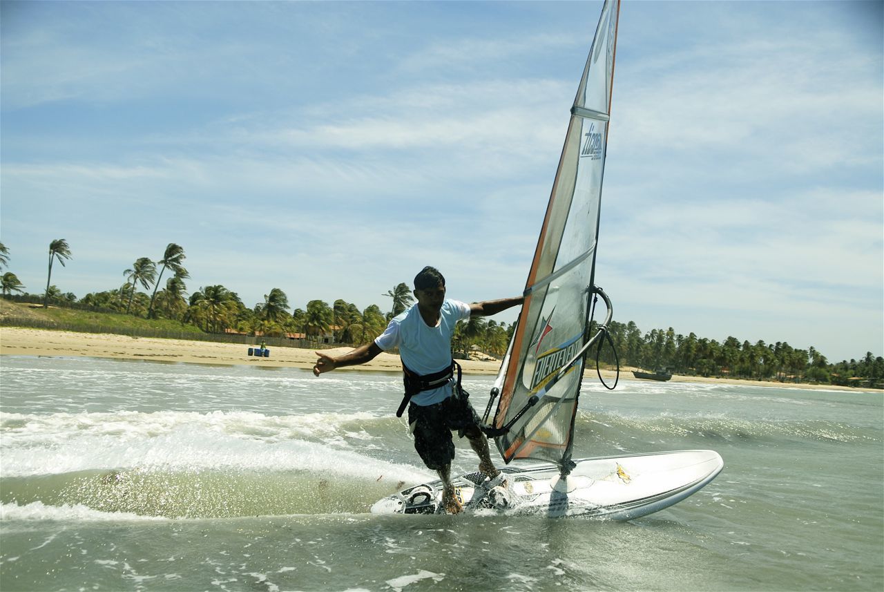 Uma pessoa praticando windsurf em uma prancha branca sobre as ondas do oceano perto de uma praia de areia com palmeiras sob um céu azul brilhante.