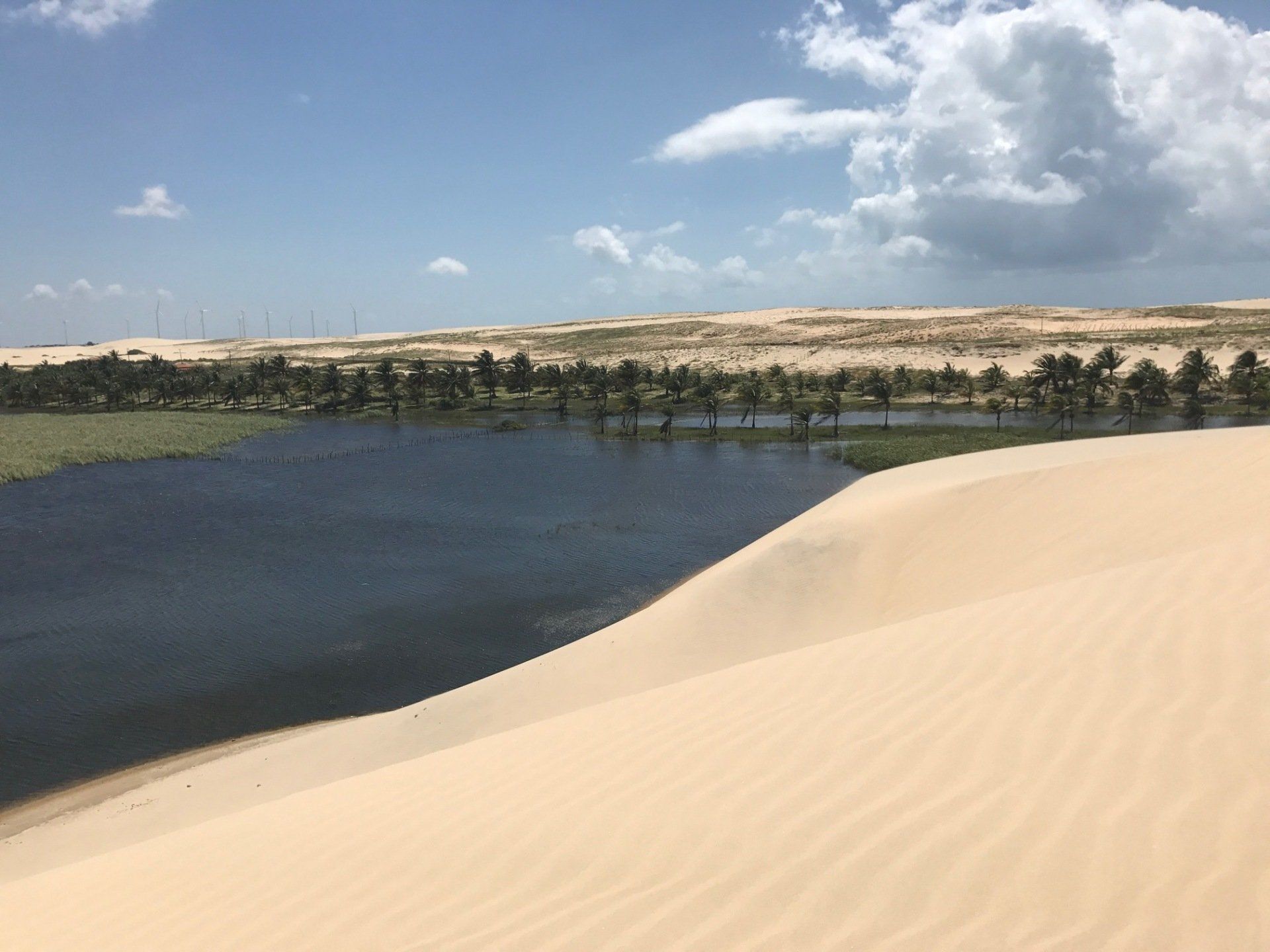 Uma lagoa azul brilhante se ergue em meio a vastas dunas de areia dourada sob um céu parcialmente nublado.