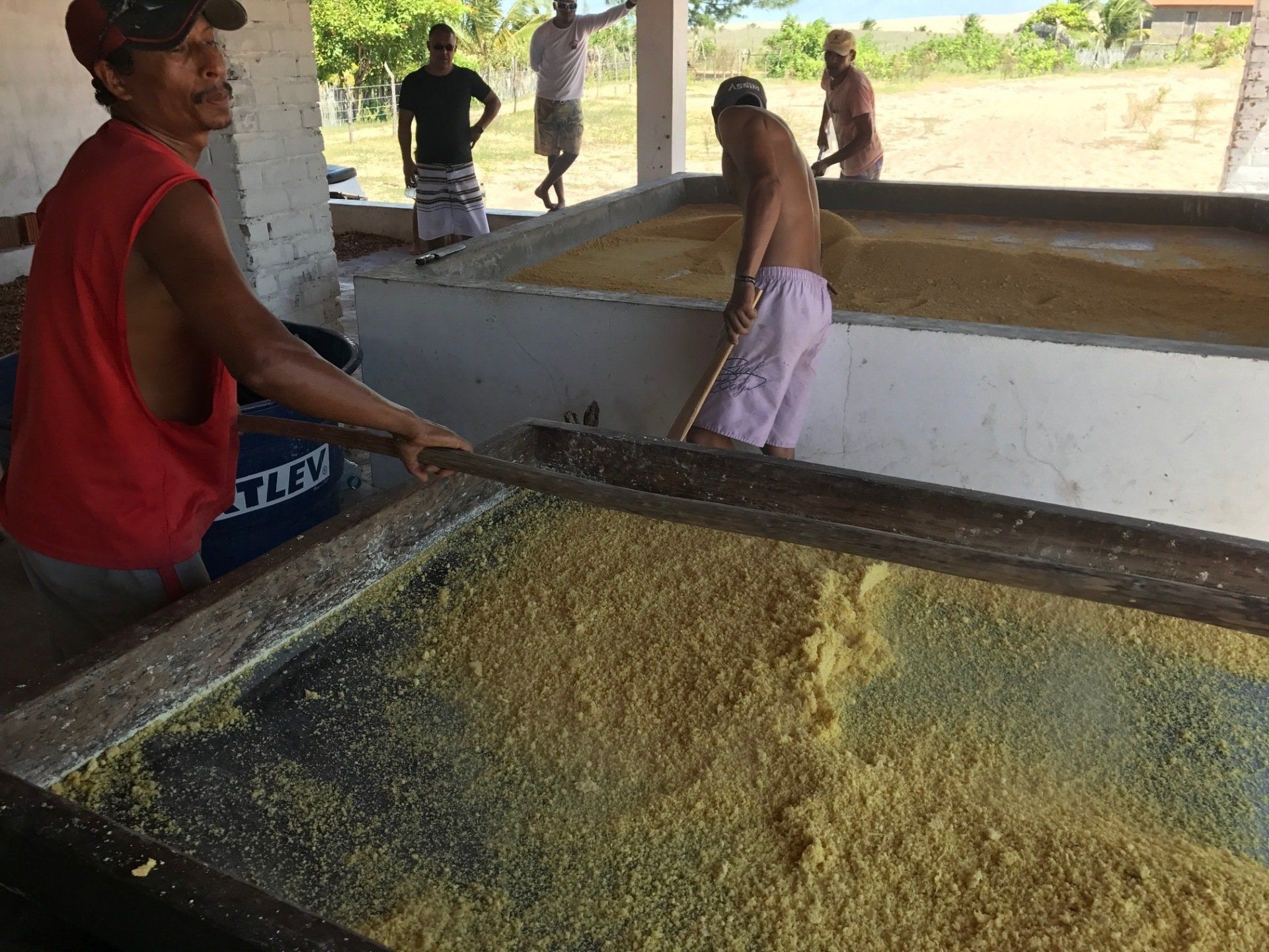 Os trabalhadores espalham a massa de mandioca em leitos de secagem planos e de madeira em uma instalação aberta ao ar livre.