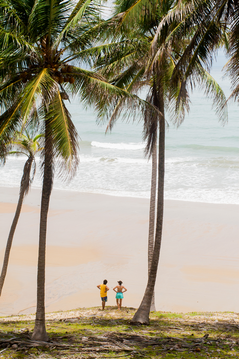 Duas pessoas estão em um barranco de areia com vista para uma praia com ondas do oceano, emoldurada por duas altas palmeiras.