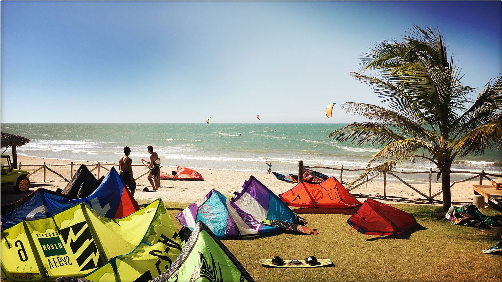 Equipamentos coloridos de kitesurf estão dispostos em uma praia gramada com o oceano e uma palmeira ao fundo.