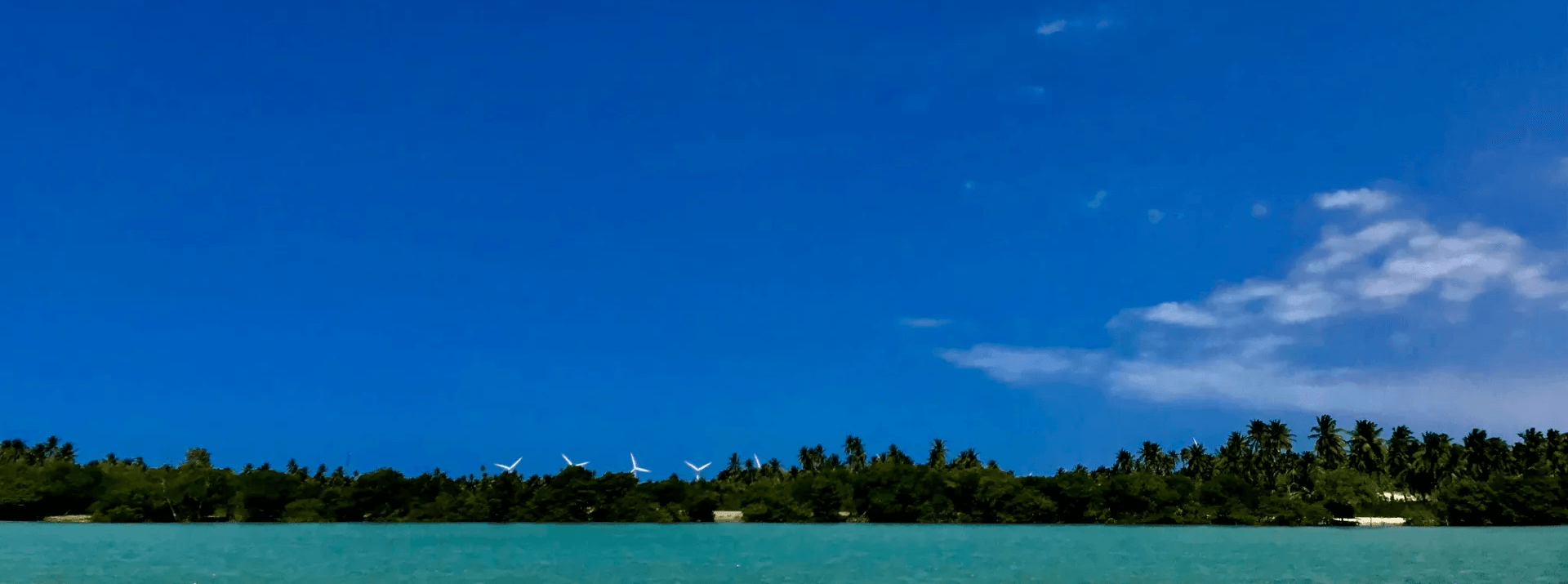 Uma vista panorâmica ampla de uma exuberante linha de árvores verdes margeando uma lagoa turquesa sob um céu azul claro e brilhante.