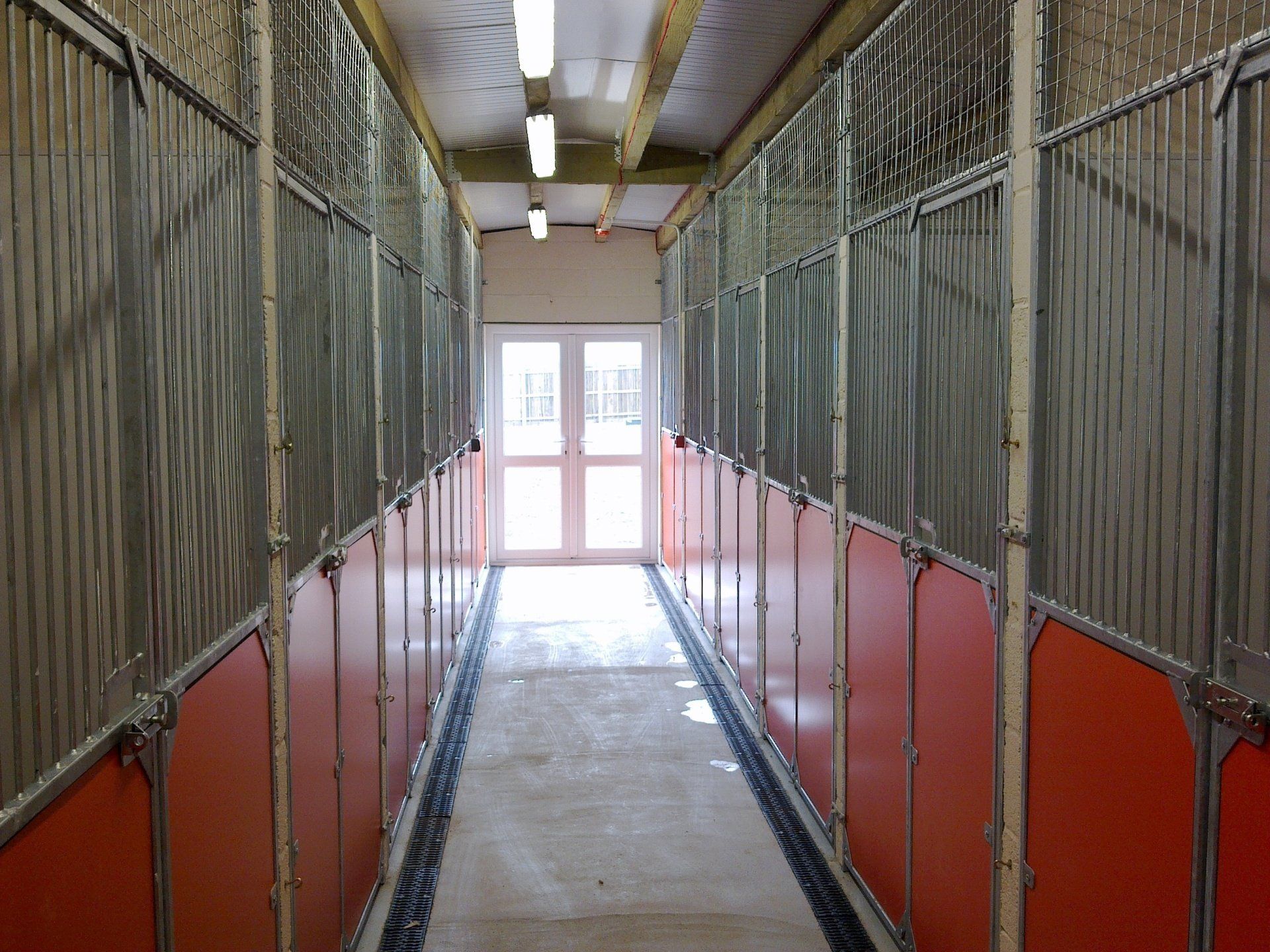 A long hallway with kennels on either side; red panels, metal bars, and a bright door at the end.