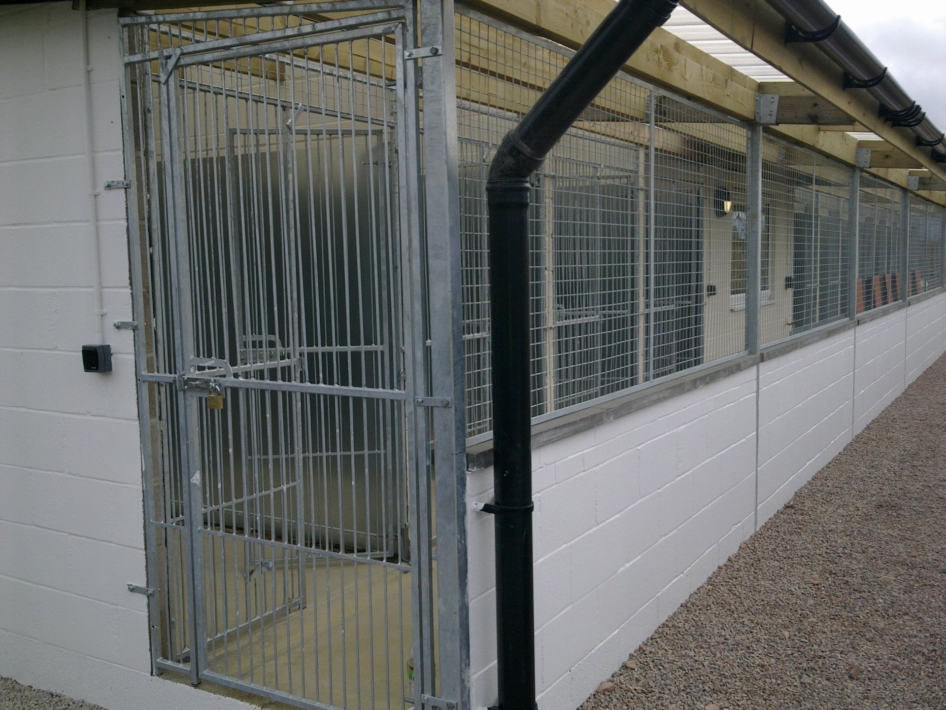 Kennel building exterior with metal cages, white walls, and a black downspout.