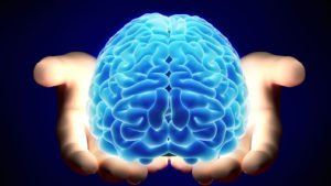 A person is holding a blue brain in their hands