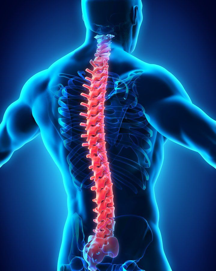 A computer generated image of a man 's spine and skeleton.