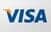 Visa logo in blue and gold text on a white background