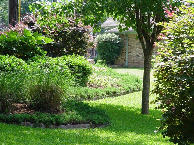 landscape design