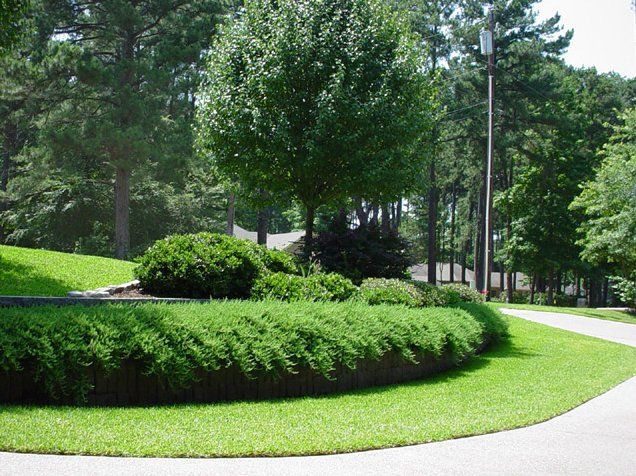 landscape design