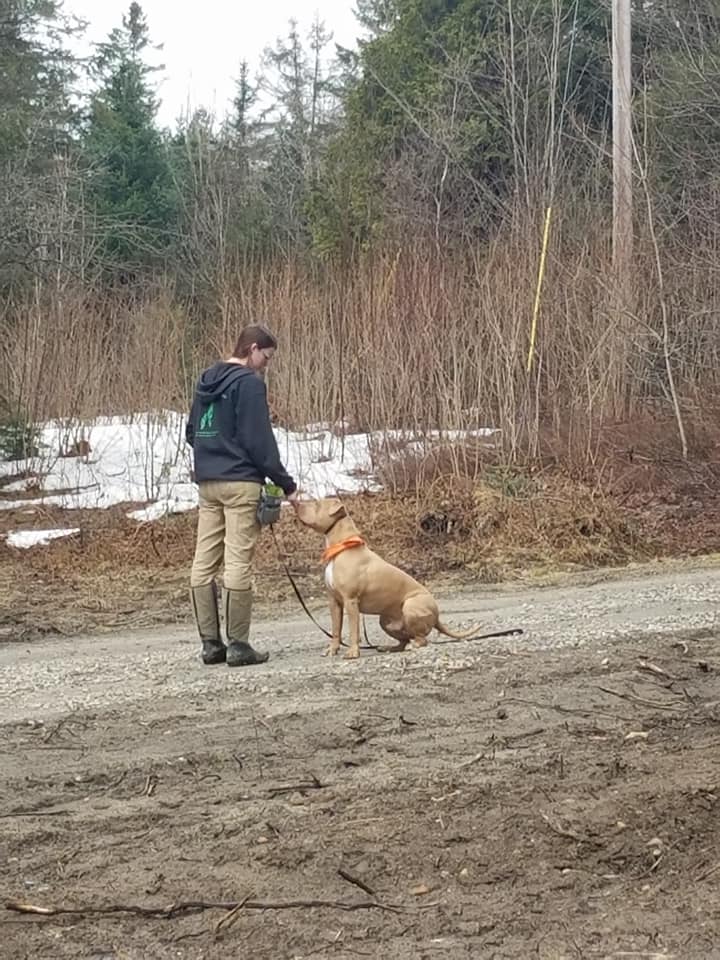 A dog trainer in a black jacket having a light brown dog sit in front of her