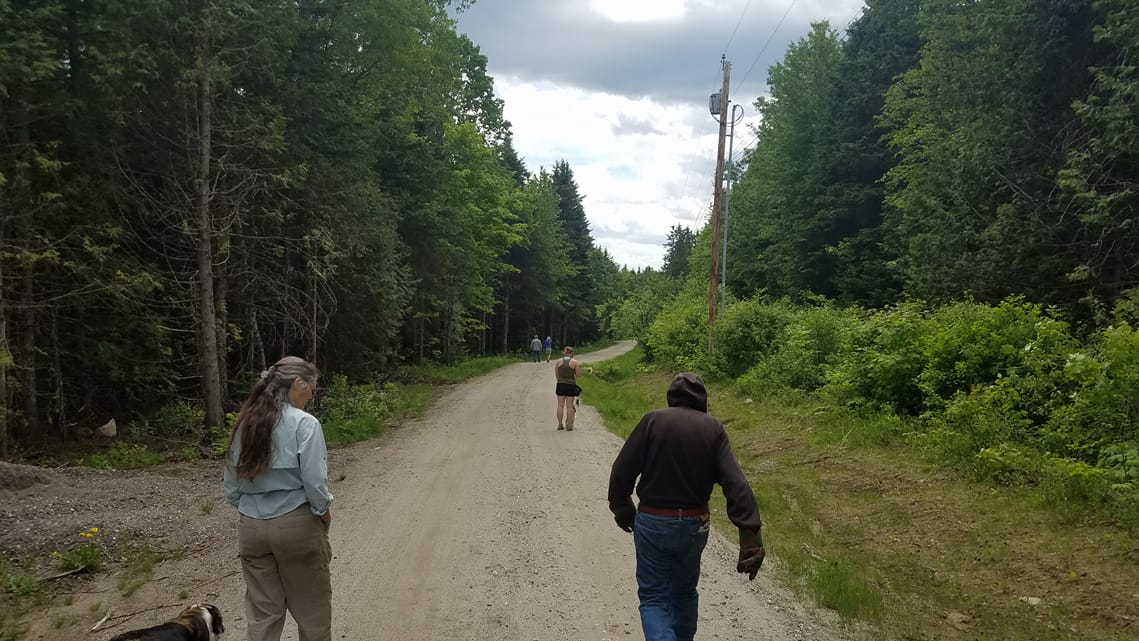 People walking down a dirt road training their puppies in an OTBT class