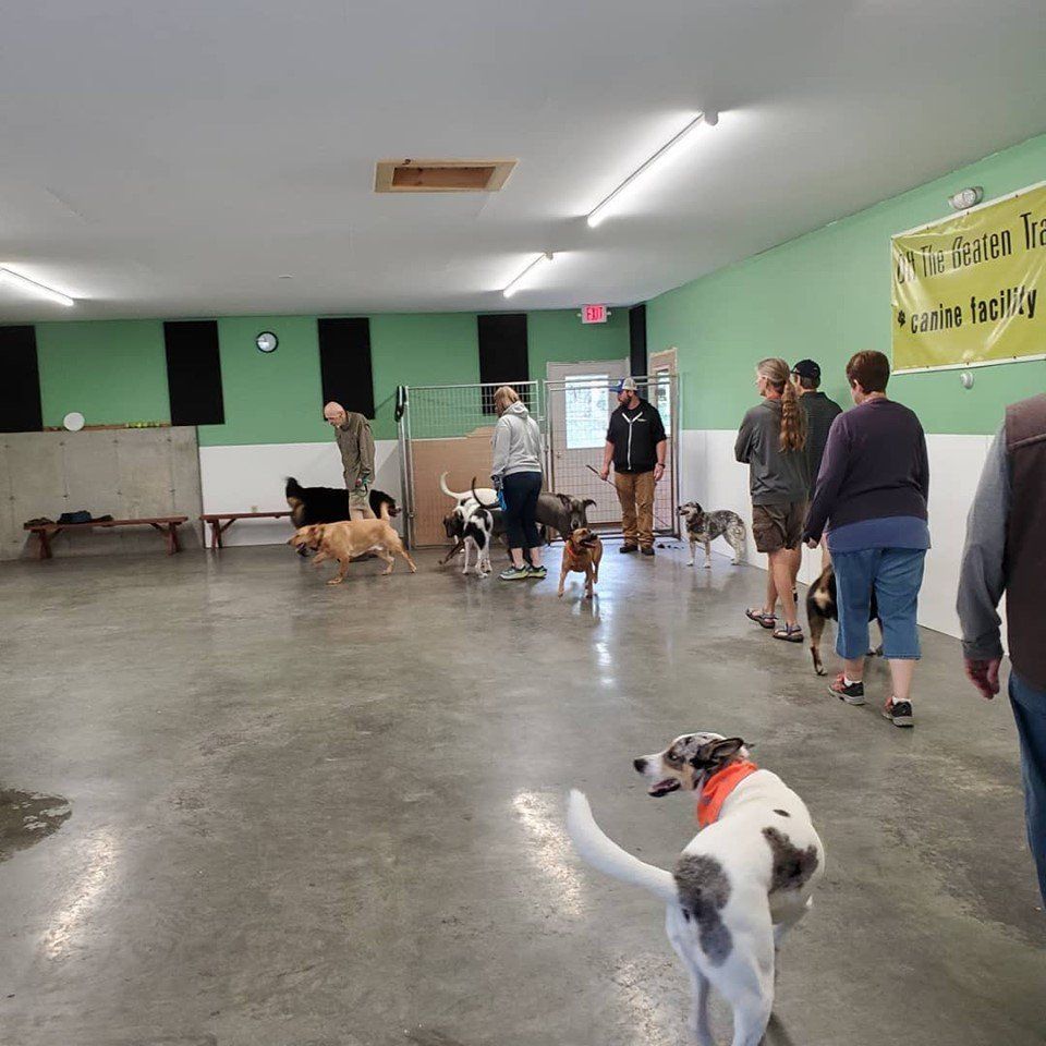 Owners and dogs walking by the wall during the Sunday Social inside