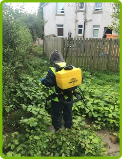 Herbicide-image1