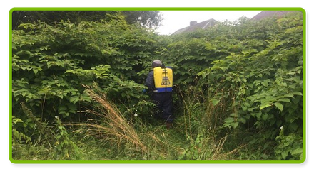 Herbicide-image