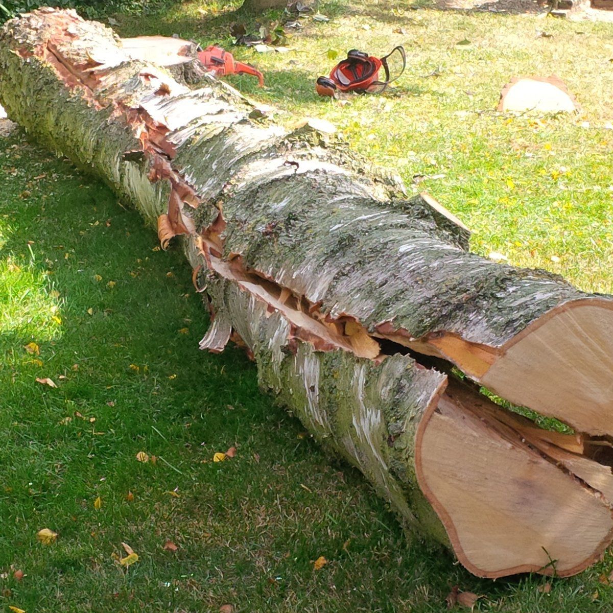 wood cutting