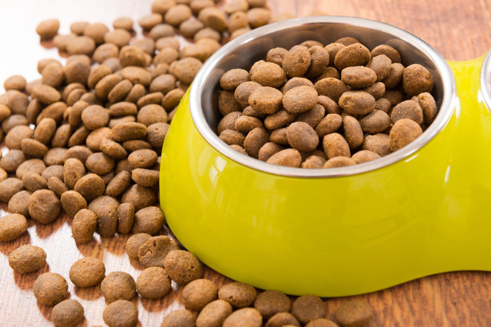 Cat Food — Natick, MA — Pet World Cat Food — Natick, MA — Pet World