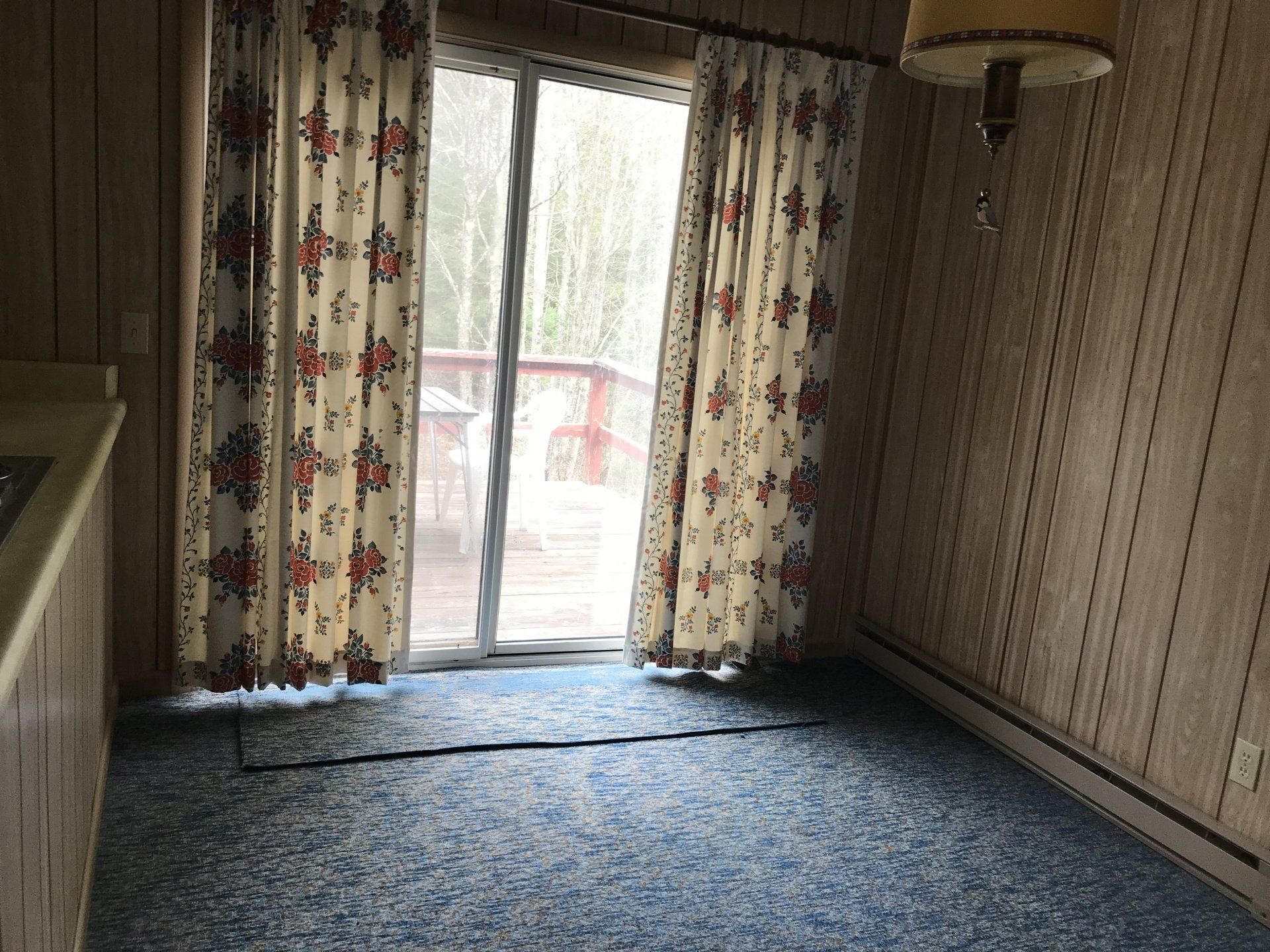Empty room with blue carpet, floral curtains, and a sliding glass door letting in daylight