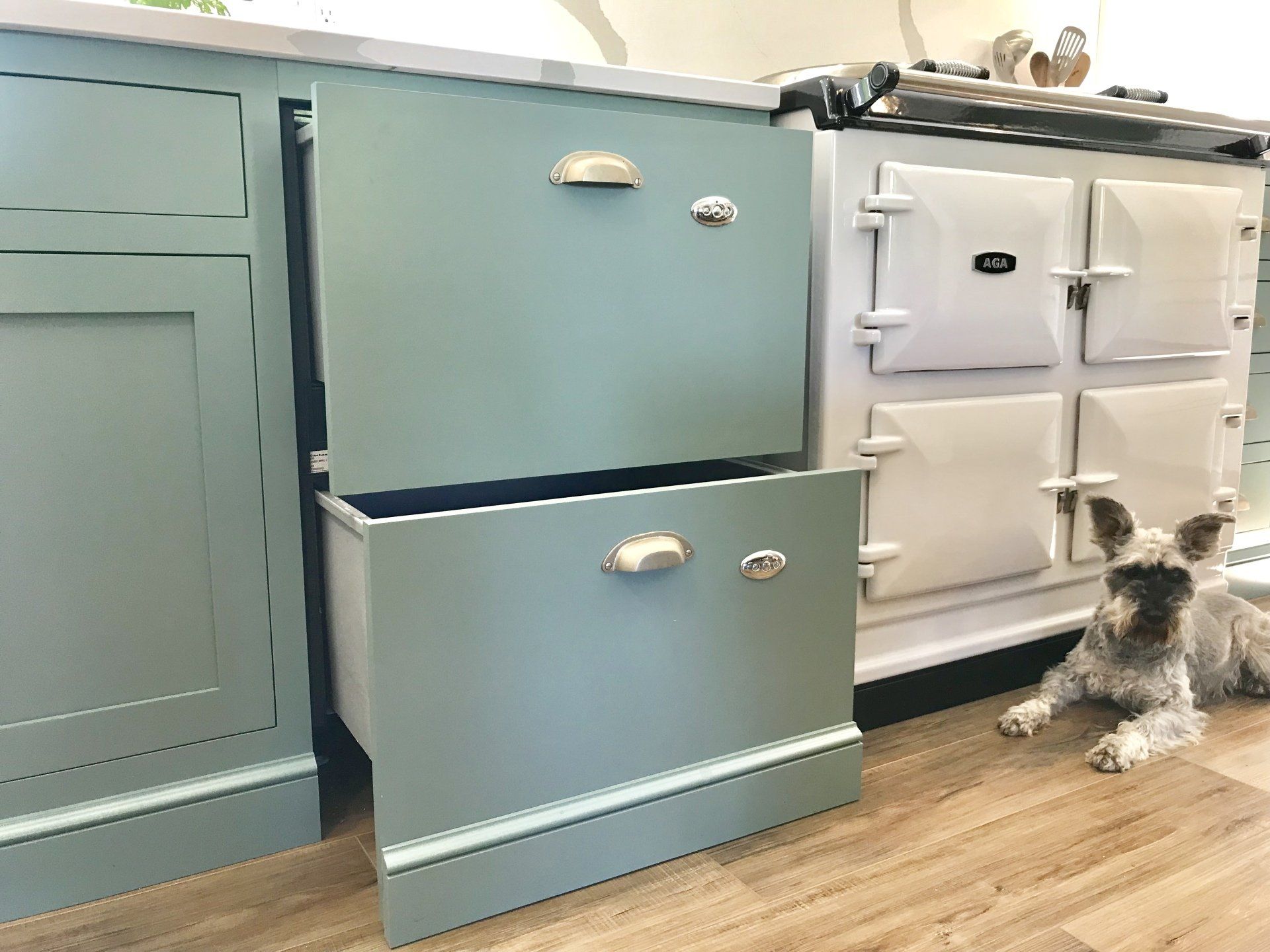 Kitchen cabinets and drawers with a small dog sitting beside them, including a teal drawer left open.