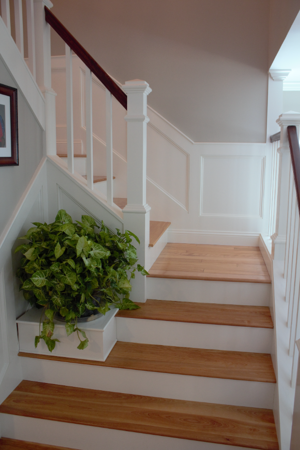 Staircase with white banister, wood steps, and a green plant at the bottom.