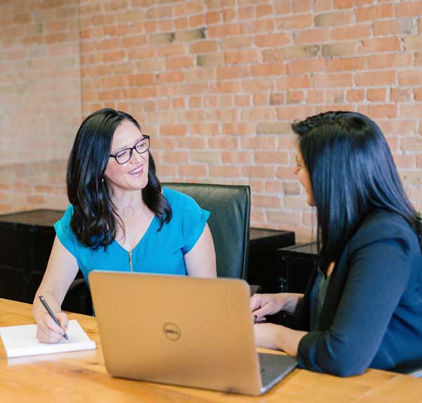 Real Estate Consultant with Client