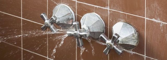 Shower Shower
