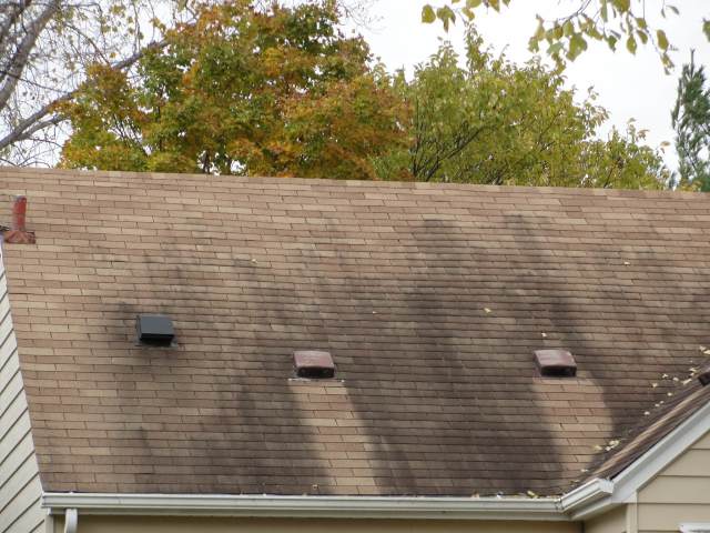 The roof of a house has a lot of stains on it