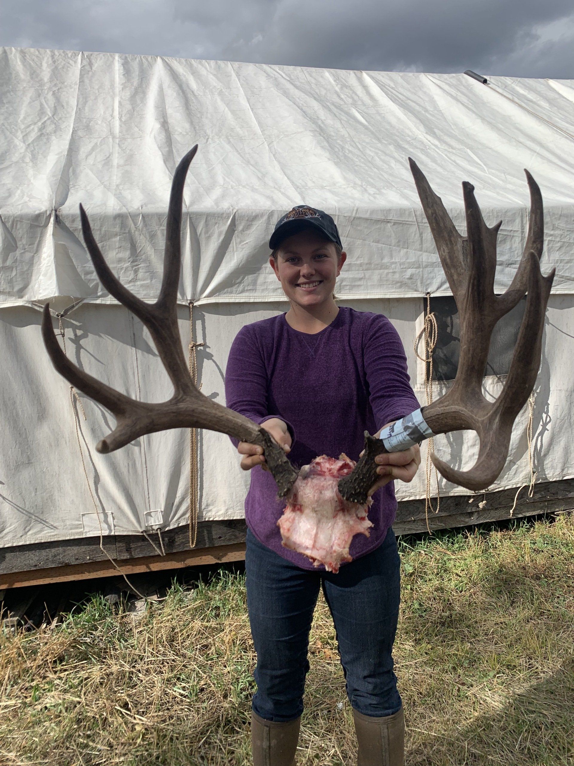 A woman in a purple shirt is holding two deer antlers.