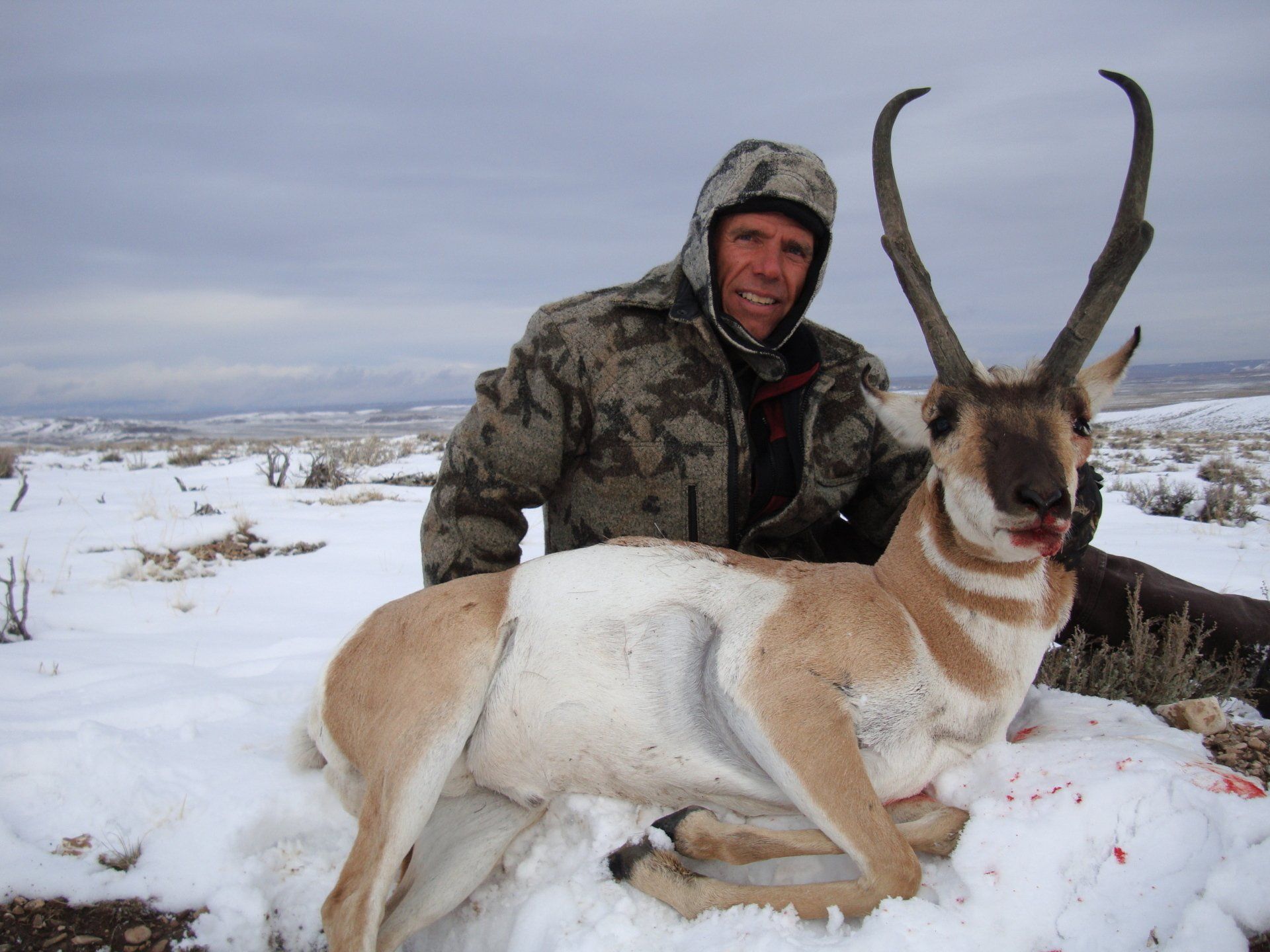 Hunter in camouflage with pronghorn antelope on snow-covered ground.