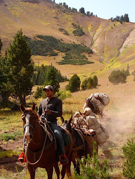 Man on horse leads pack animals carrying supplies in a mountainous landscape.