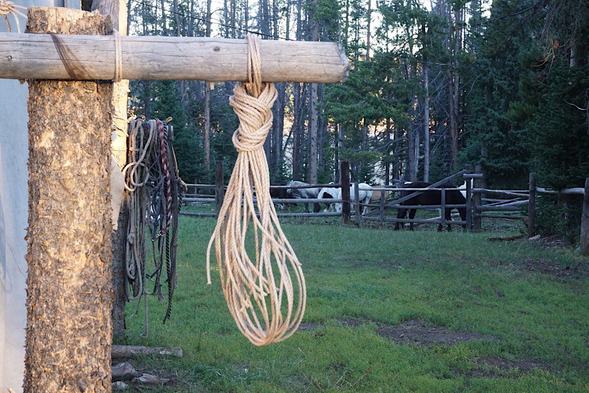 Wooden structure with hanging rope bag and tack, horses grazing in a fenced pasture in the background.