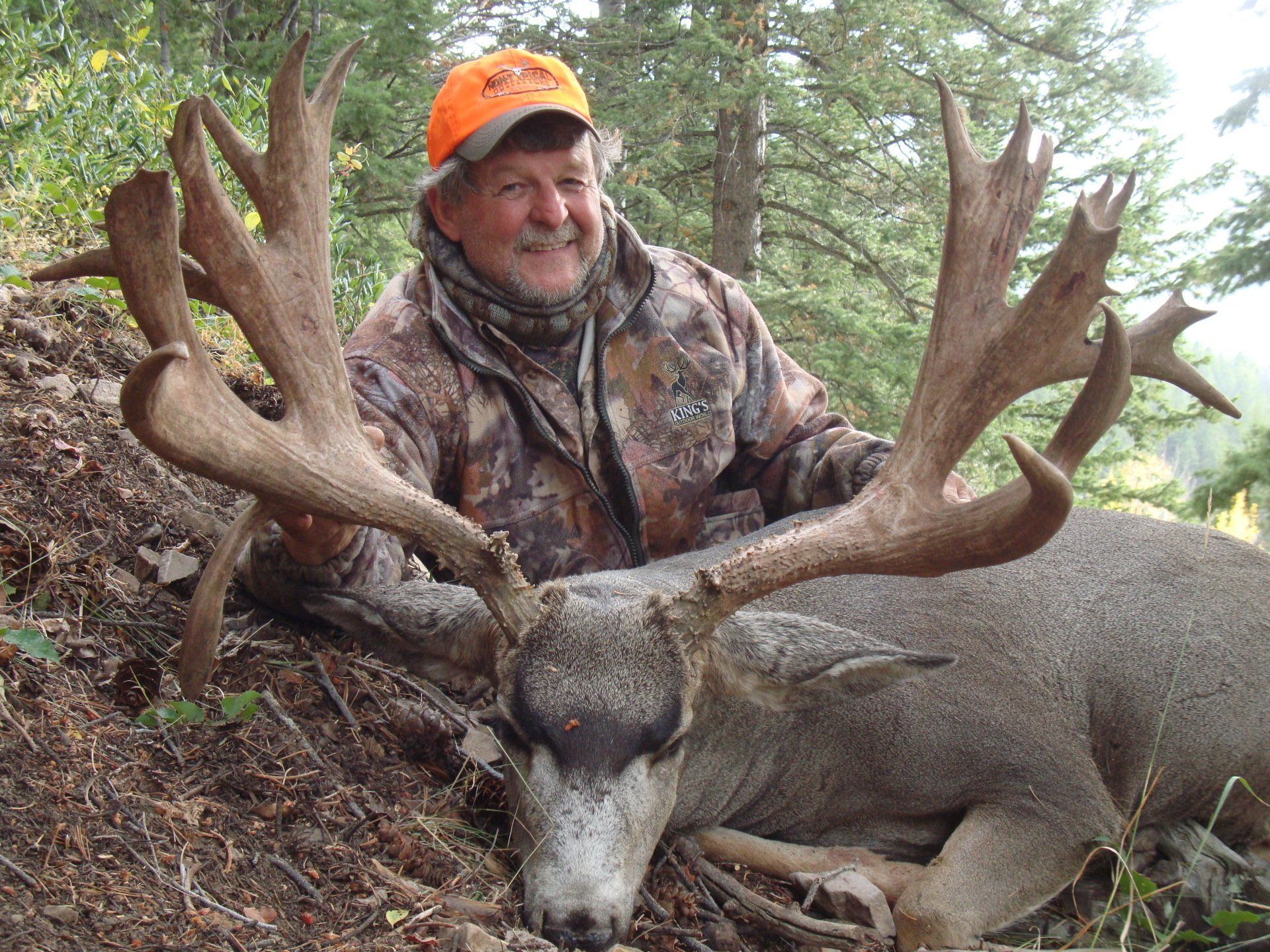 Hunter in camouflage with a large-antlered deer; orange hat, outdoors setting.