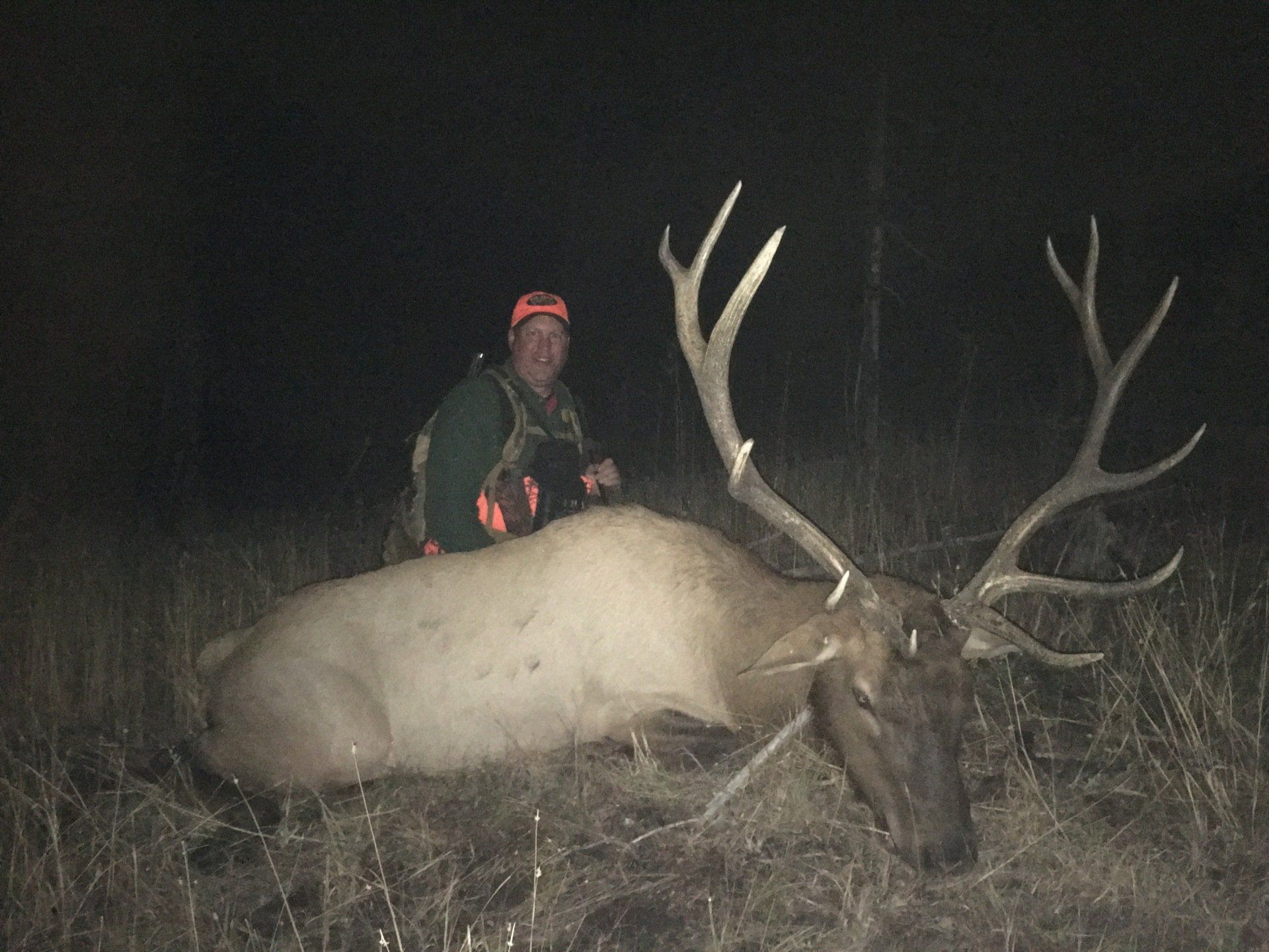 Hunter kneeling next to a harvested elk at night. Wearing orange, smiling. Elk has large antlers.
