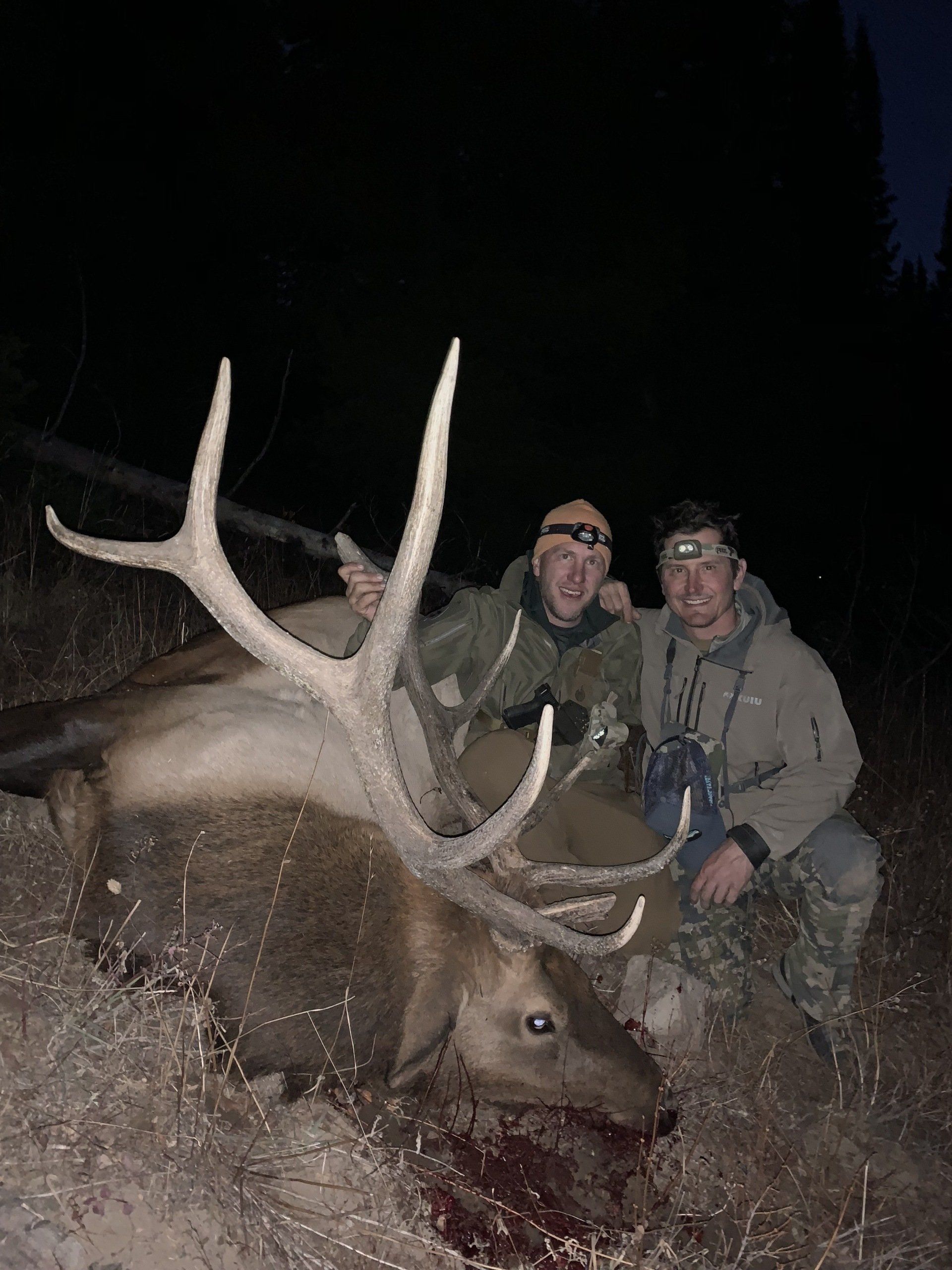 Two men pose with a large elk at night. The elk lies on the ground, antlers prominent. Both men smile.