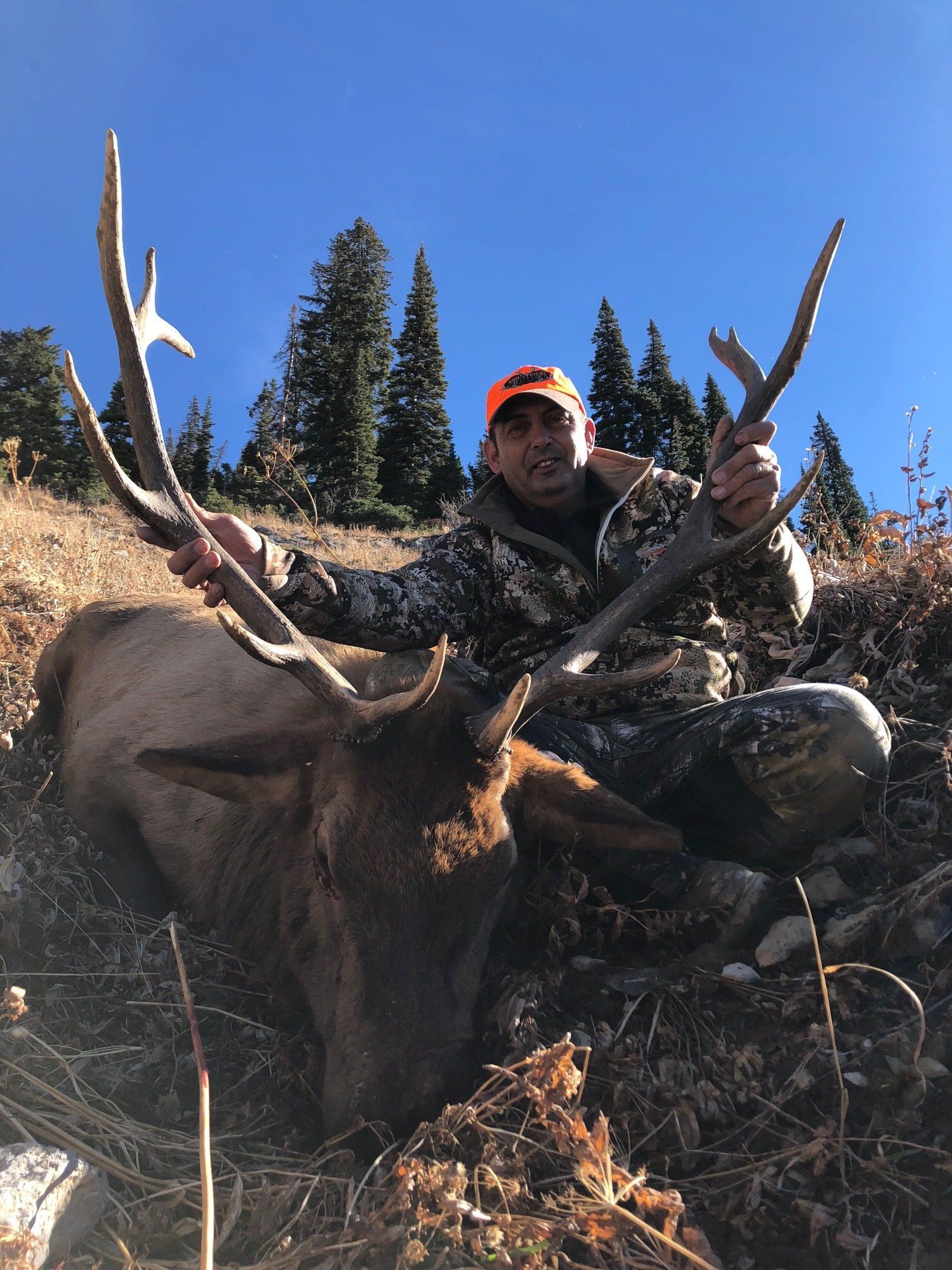 Hunter kneeling next to a harvested elk with large antlers in a mountain setting.