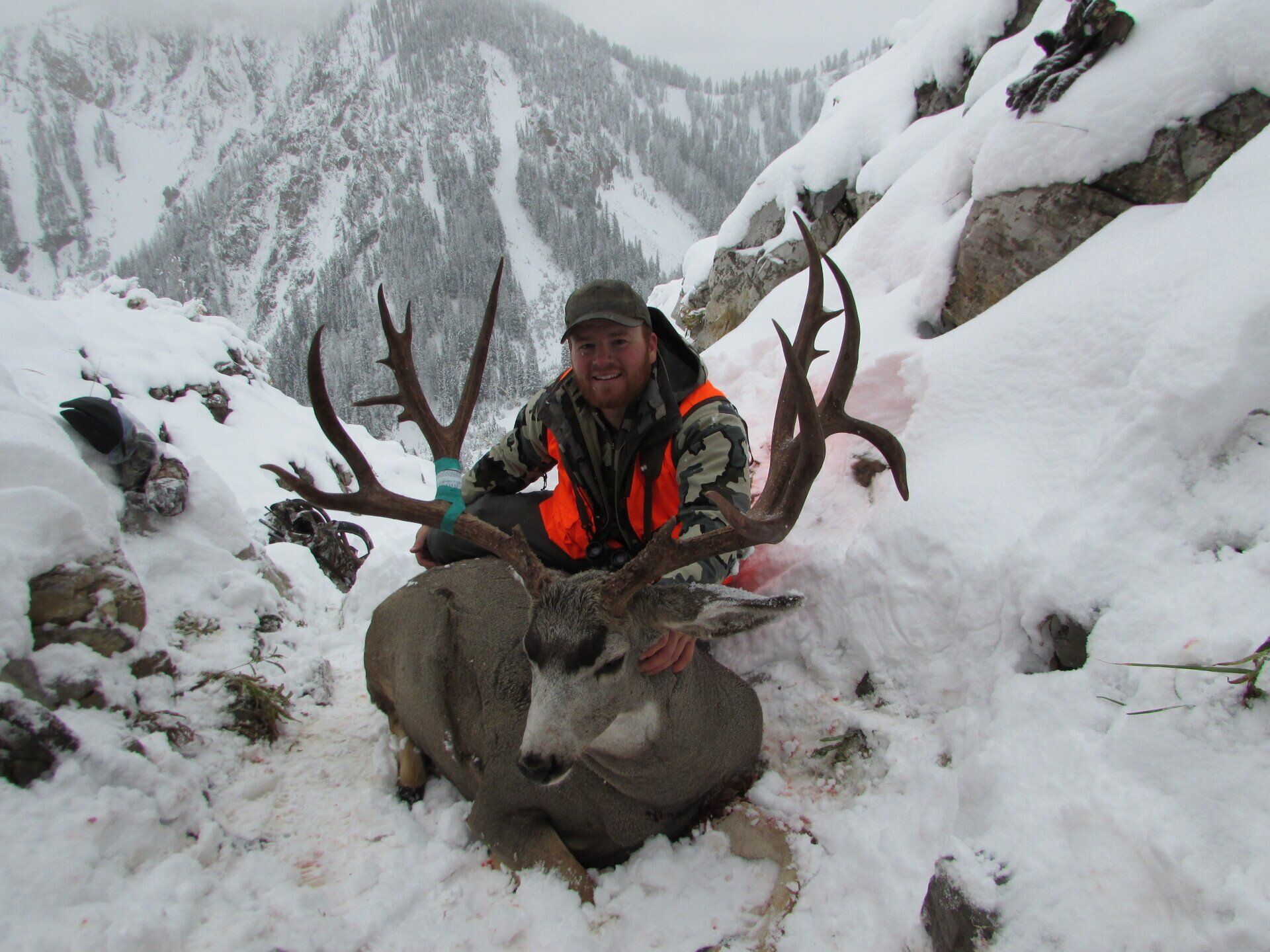 Hunter in orange vest kneels in snow, holding large-antlered deer with snowy mountain backdrop.