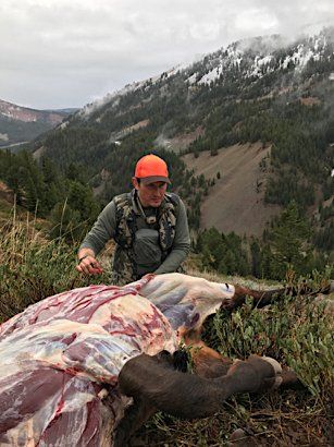 Hunter butchering an animal on a hillside. Snowy mountain background.
