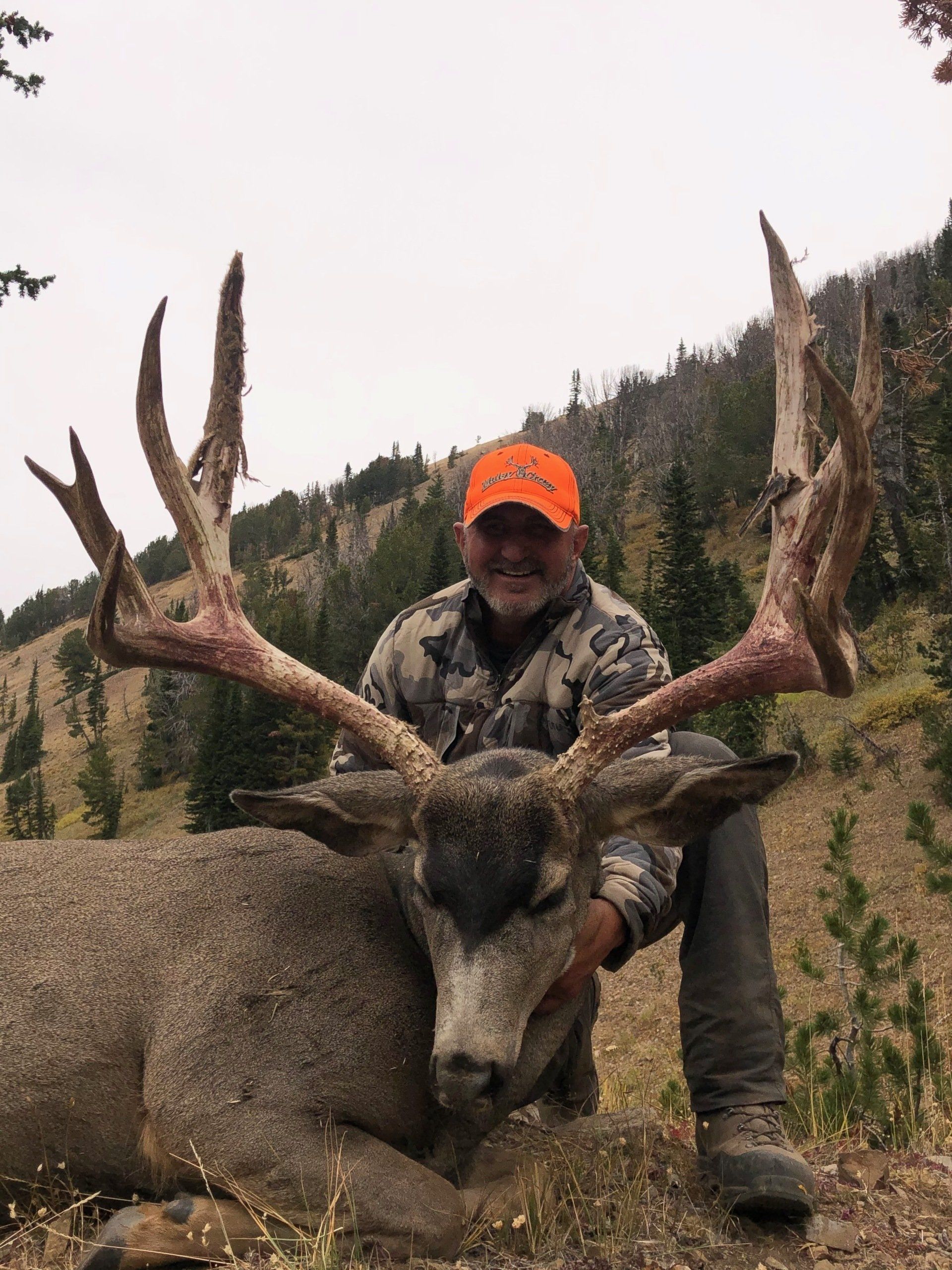 Man in orange hat smiles, kneeling beside a large mule deer buck in a wooded area. Buck has large antlers.