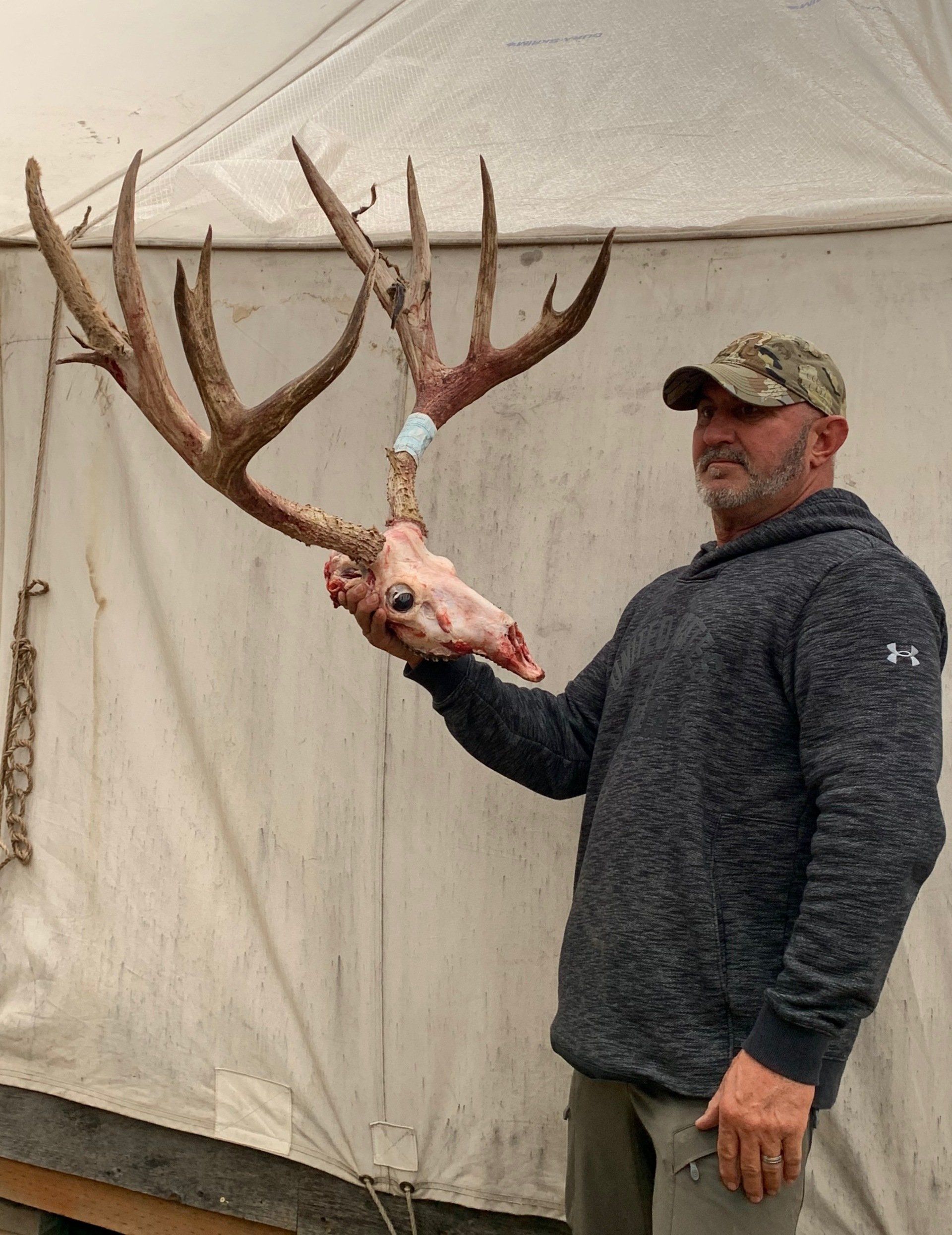 Man holding deer skull with large antlers. Light background.