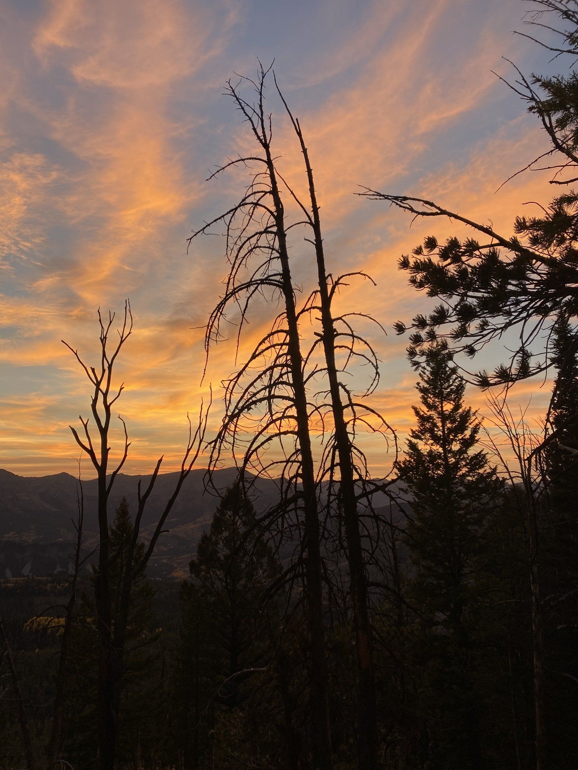 A sunset with trees in the foreground and mountains in the background