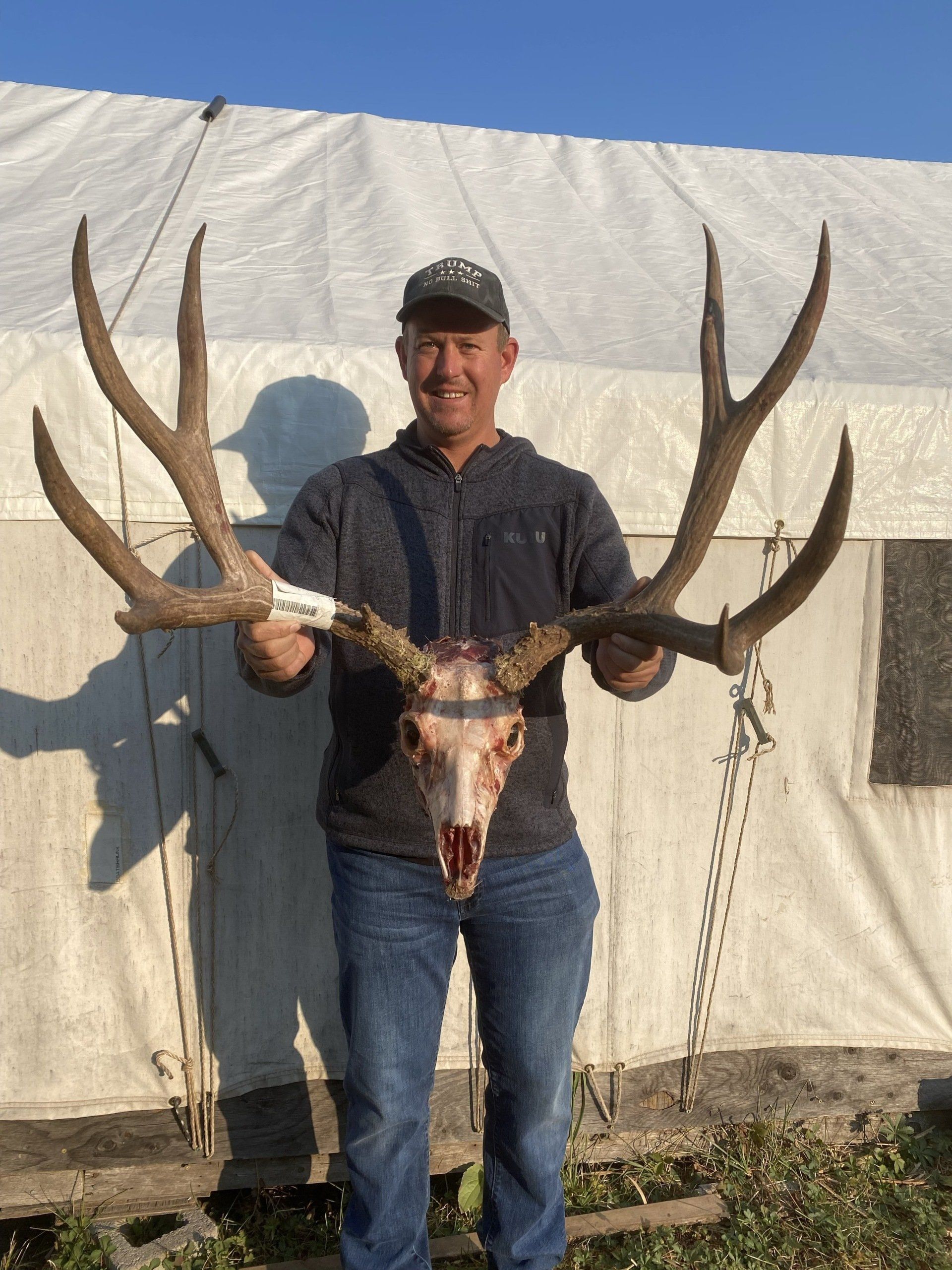 Man holding large elk skull and antlers, standing in front of a white tent.